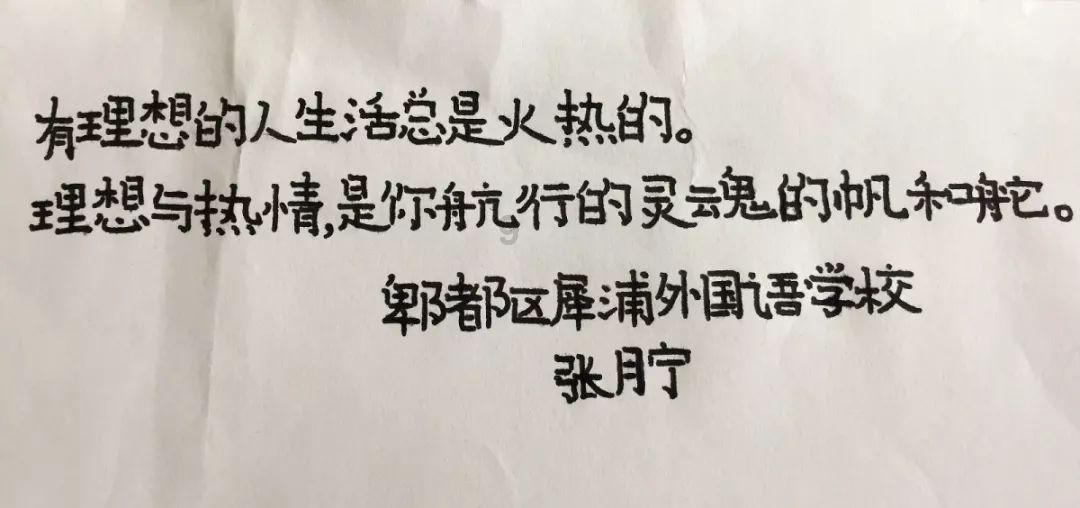 虫虫助手下载